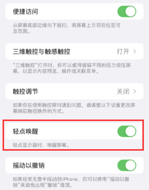 道真苹果授权维修站分享iPhone轻点无法唤醒怎么办 