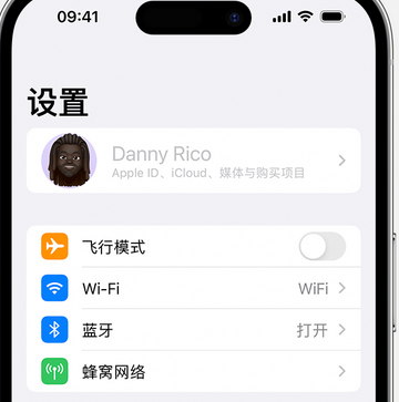 道真appleID维修服务iPhone设置中Apple ID显示为灰色无法使用