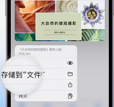 道真apple维修中心分享iPhone文件应用中存储和找到下载文件