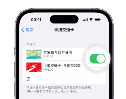 道真apple维修点分享iPhone上更换Apple Pay快捷交通卡手绘卡面 