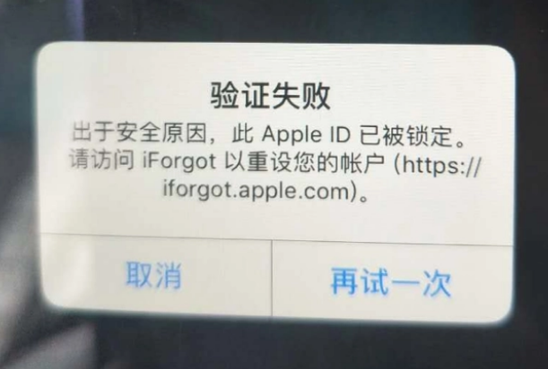 道真iPhone维修分享iPhone上正常登录或使用AppleID怎么办 