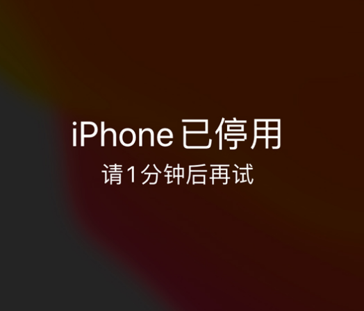 道真苹果手机维修分享:iPhone 显示“不可用”或“已停用”怎么办？还能保留数据吗？ 