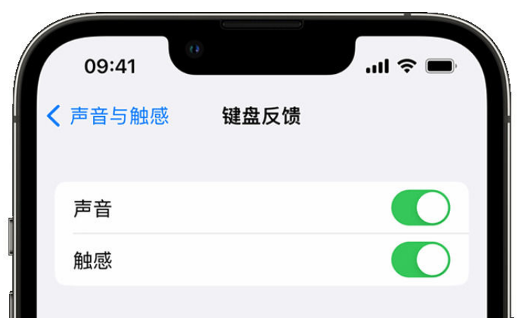 道真苹果手机维修分享iPhone 14触感键盘使用方法 