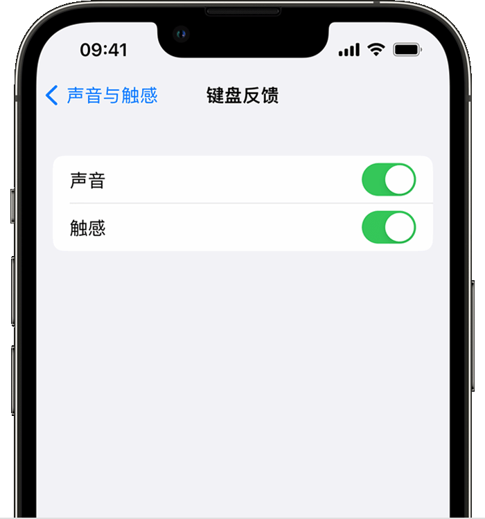 道真苹果14维修店分享如何在 iPhone 14 机型中使用触感键盘 