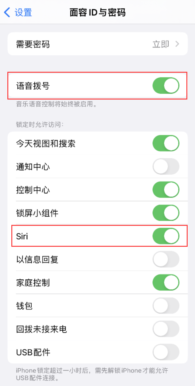 道真苹果维修网点分享不解锁 iPhone 的情况下通过 Siri 拨打电话的方法 