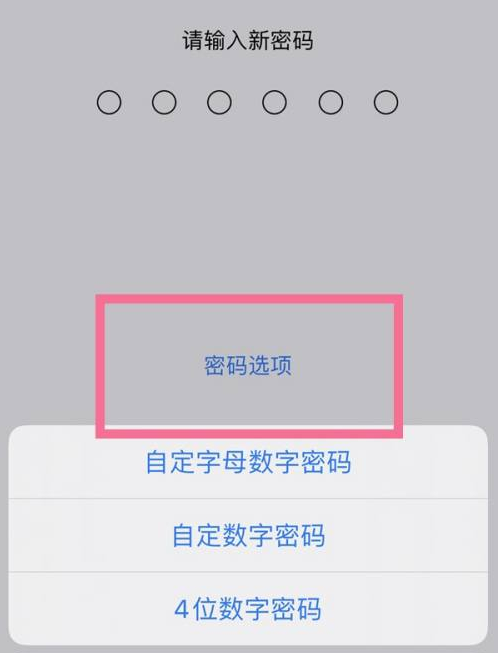 道真苹果14维修分享iPhone 14plus设置密码的方法 