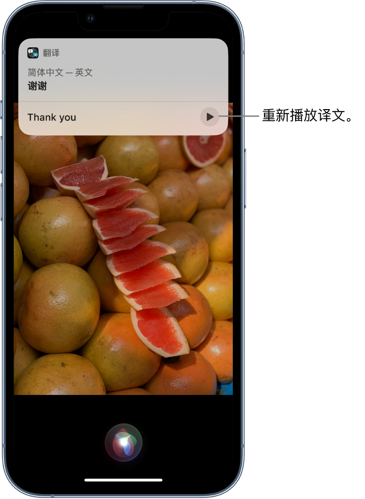 道真苹果14维修分享 iPhone 14 机型中使用 Siri：了解 Siri 能帮你做什么 