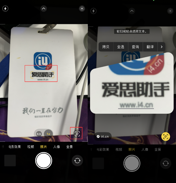 道真苹果手机维修分享升级iOS 16后如何通过相机翻译文本 
