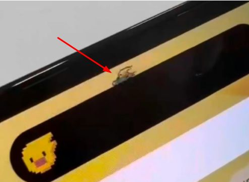 道真苹果14维修分享iPhone 14 Pro Max灵动岛怎么养宠物 