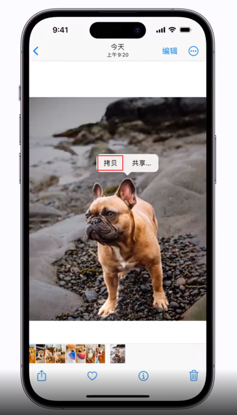 道真 苹果手机维修分享iOS 16 “照片”应用更新内容与改进汇总 