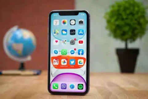 道真苹果手机维修分享升级iOS16屏幕失灵解决办法 
