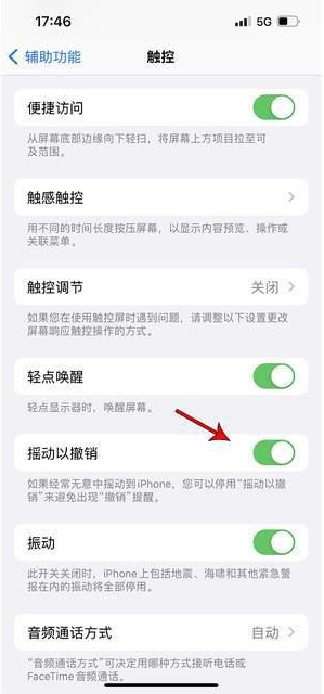 道真苹果手机维修分享iPhone手机如何设置摇一摇删除文字 