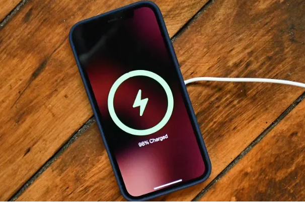 道真苹果手机维修分享iPhone如何正确充电 