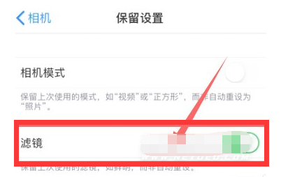 道真苹果13维修分享iPhone13拍照有绿点是怎么回事 