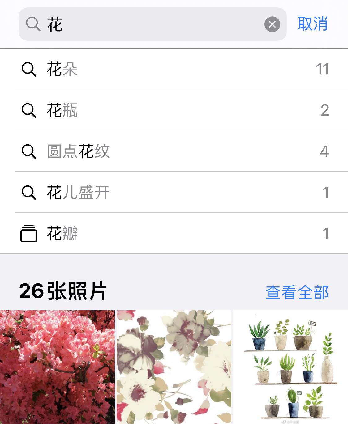 道真苹果手机维修分享iPhone 小技巧 
