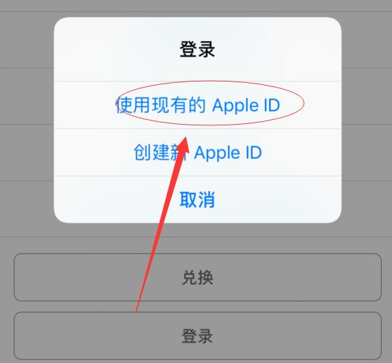 道真苹果手机维修分享两台iPhone设备可以同时登录一个Apple ID吗 