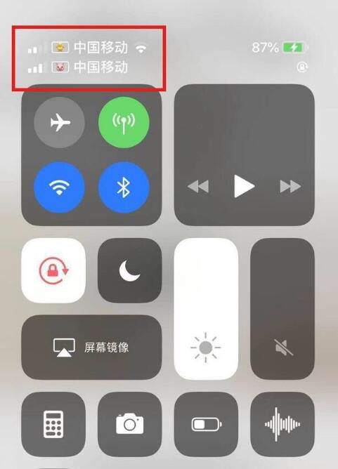 道真苹果手机维修分享为 iPhone 12 双卡设置标签 